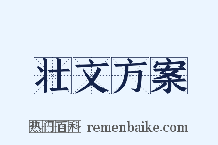 壮文方案是什么意思的图片